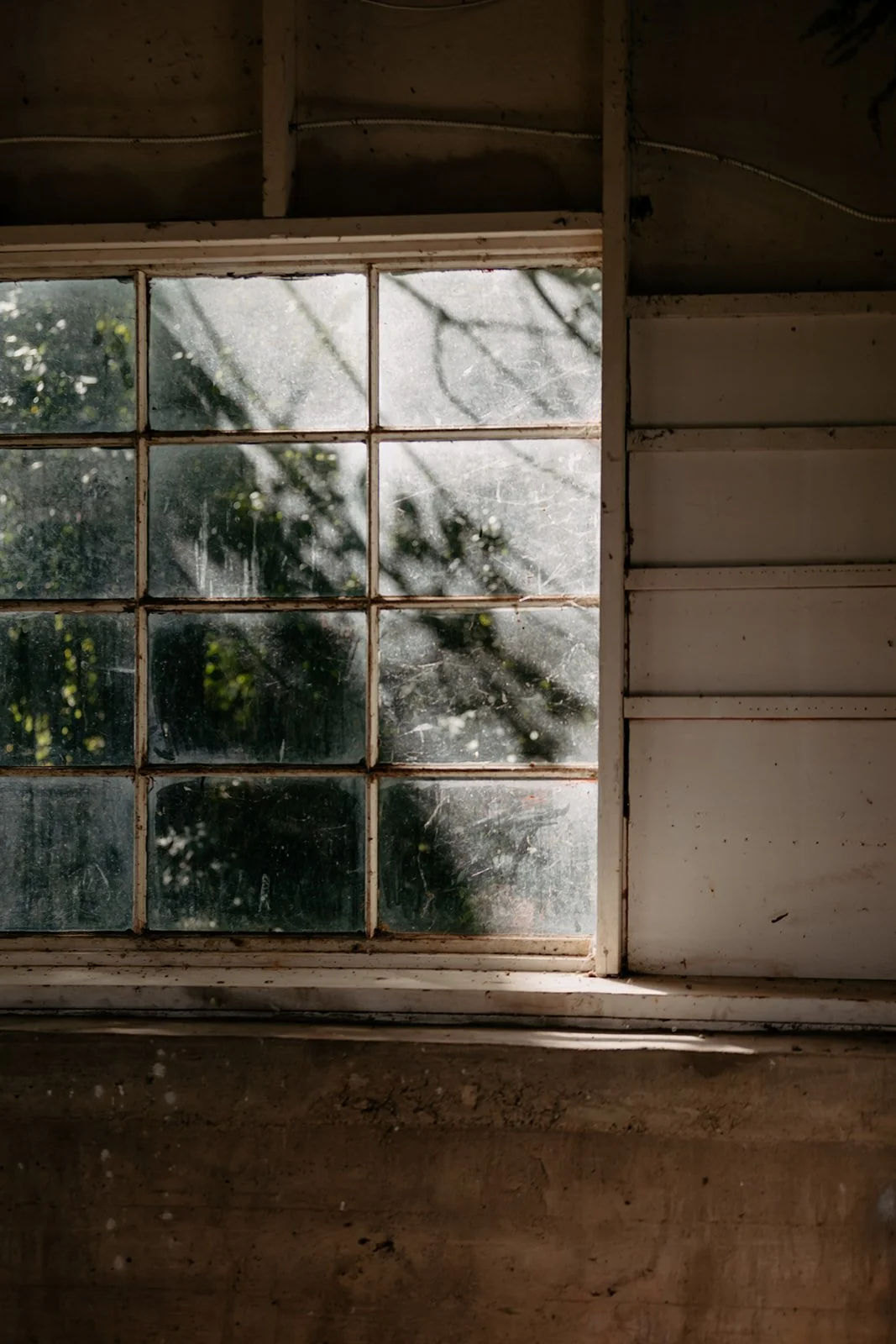 Leila + Cam-474_websize.jpg