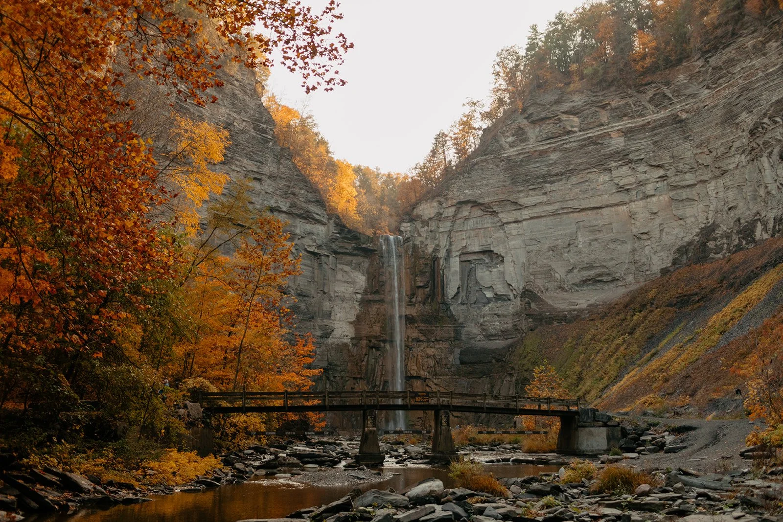 Jon + Michele-466.jpg