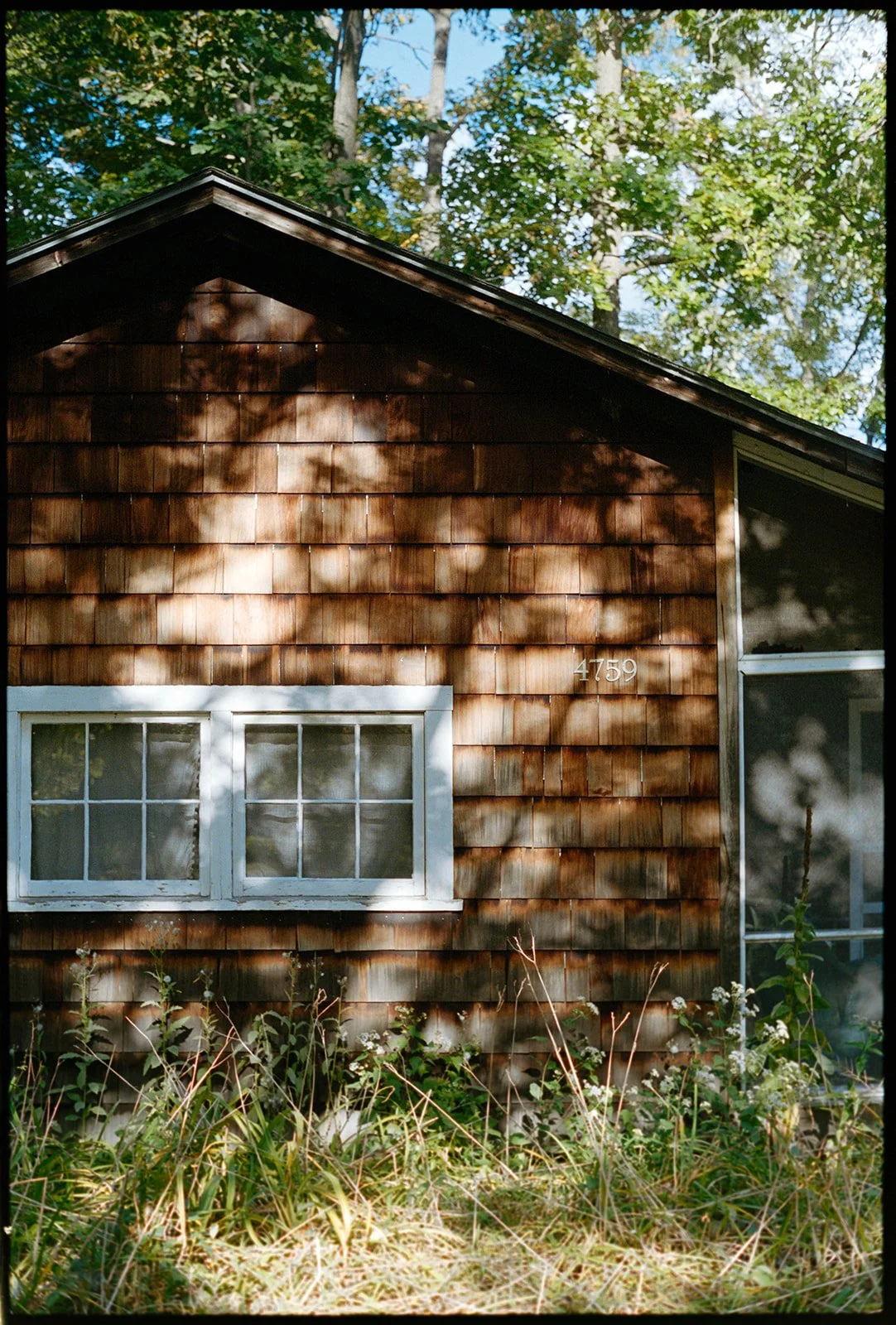 wedding photography shot all on film stock in the finger lakes
