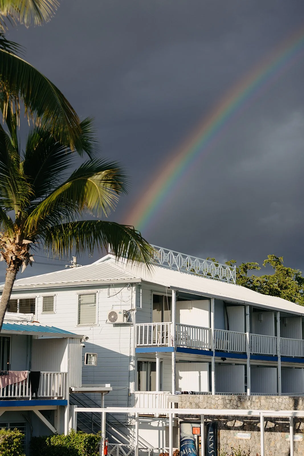 Paola + Nish-17_websize.jpg