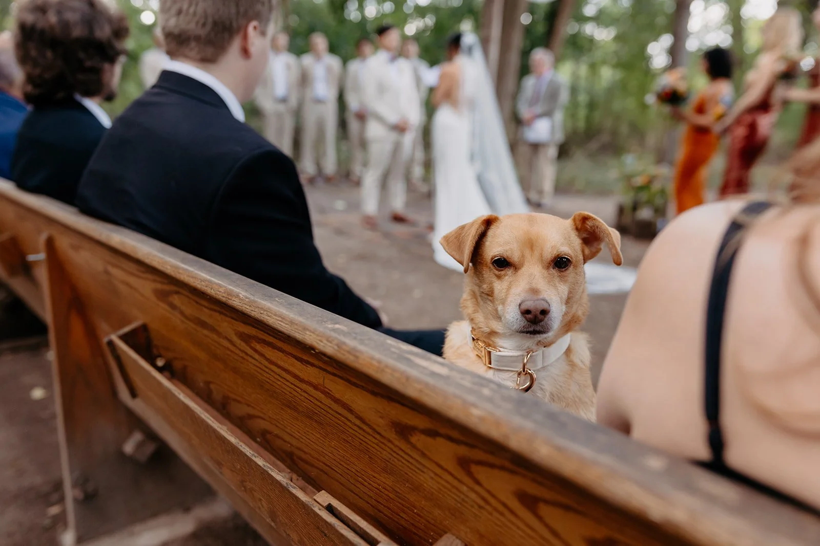 Leila + Cam-629_websize.jpg