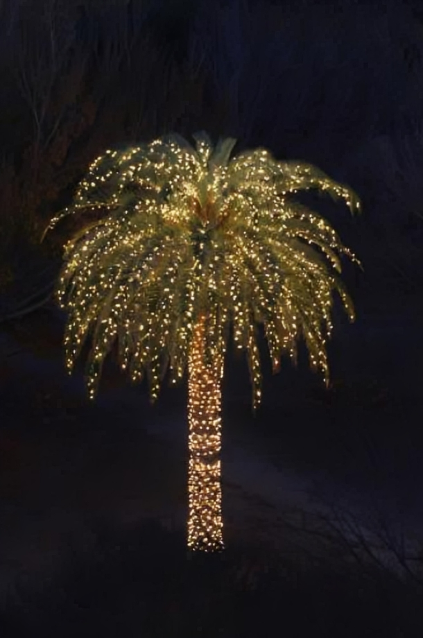 A palm tree decorated with string lights, illuminated against a dark night sky.