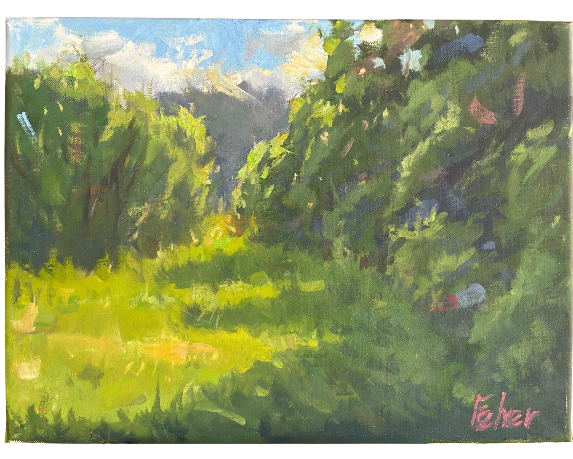 Meadow view