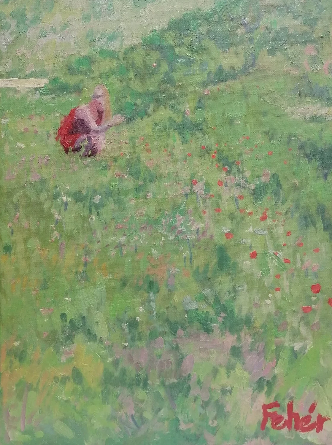 Lady in the Field 1.jpeg