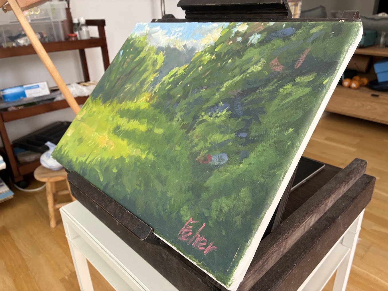 meadow_view_2.jpg