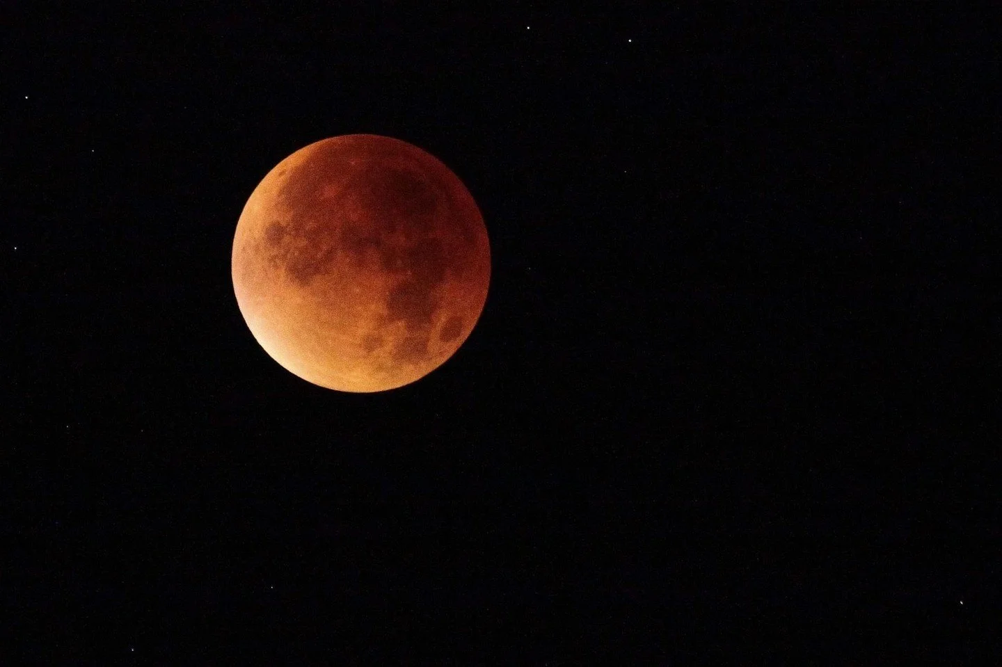 Happy Full moon! Did you see the blood moon/lunar eclipse last night?