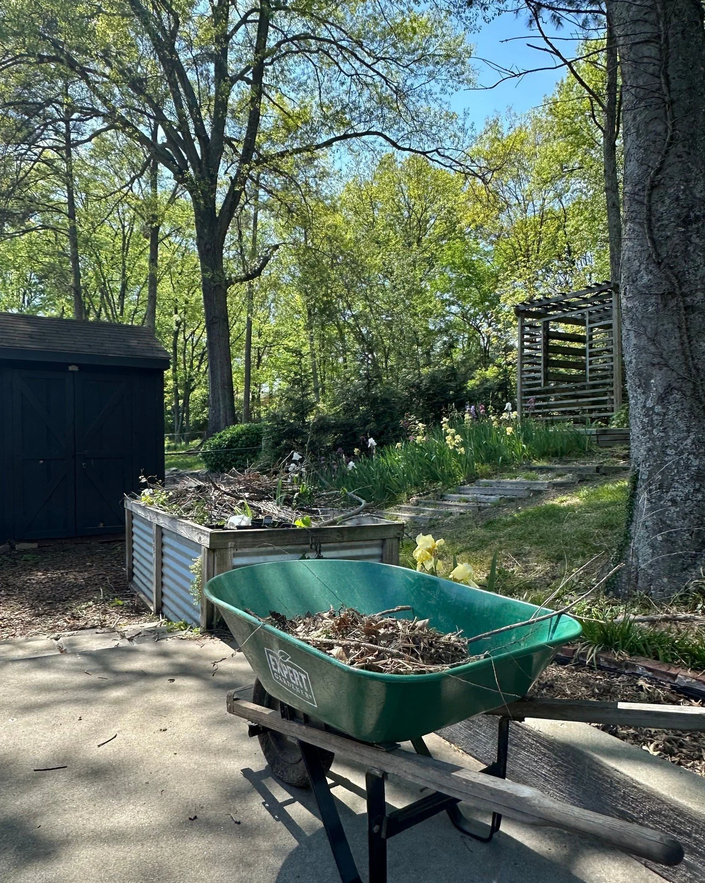 The other day, Megan and I finished a meeting and she said aloud "What do I need?" I cheered! This question is such a critical self-care practice to check in with yourself and take good care of yourself. Some days are all booked up and it c