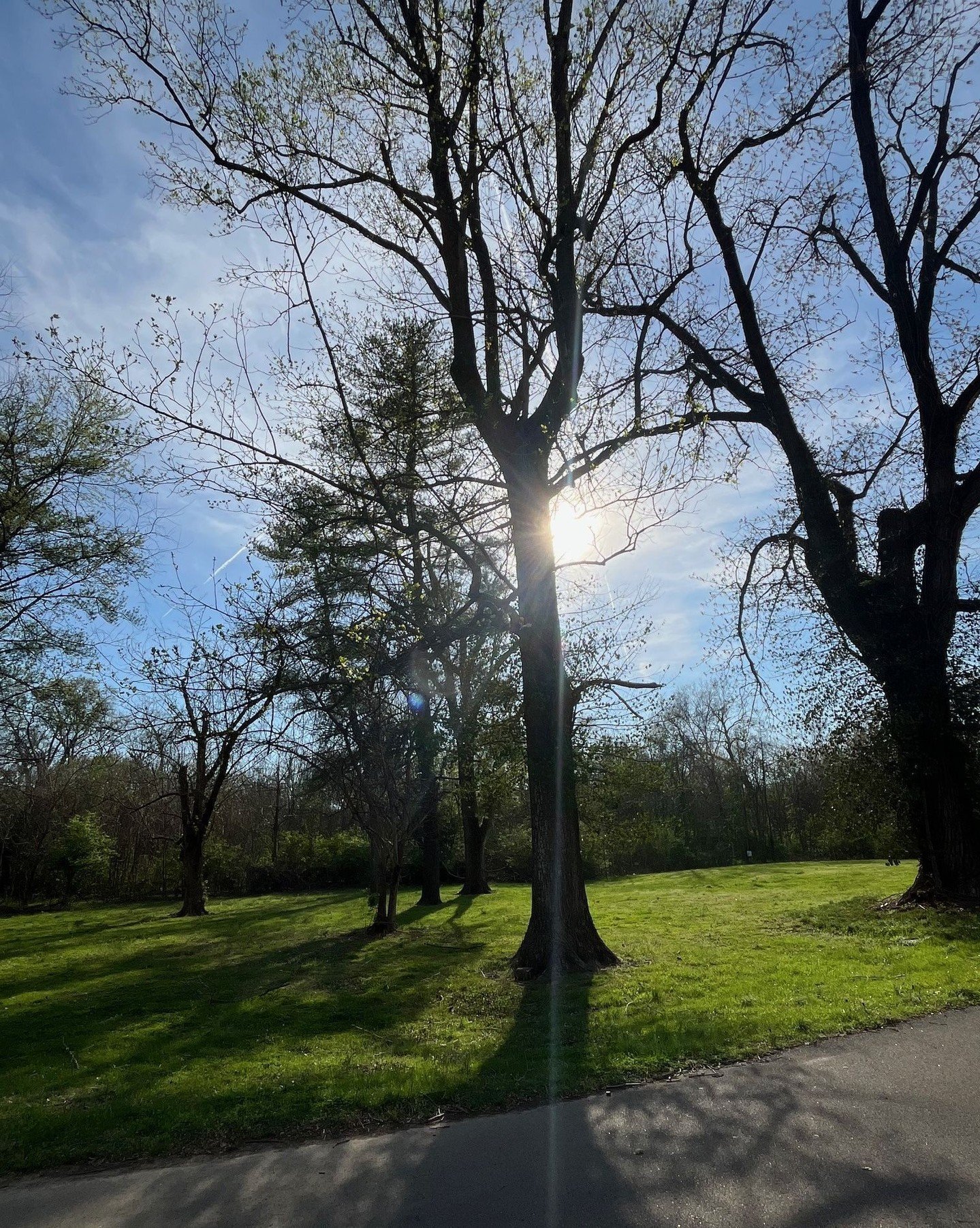 Attention teachers, nurses, therapists, mentors, and caregivers of all kinds. We're here to help refill your cup at the end of a busy school year. Join us for a free Self Care Sunday open house at Verdant Center on April 4/26 from 11 am- 2pm at Verda