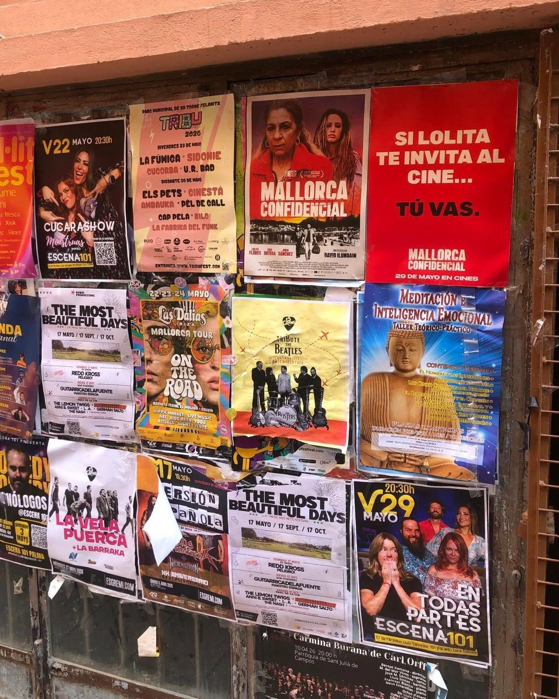 😲😲😲 #MallorcaConfidencial