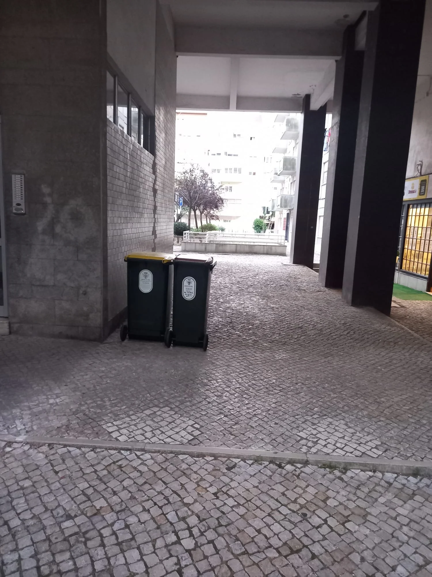 Imagem WhatsApp 2025-09-21 às 11.52.59_f8891118.jpg