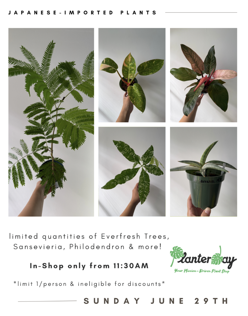 Japanese-Imported Plant Release