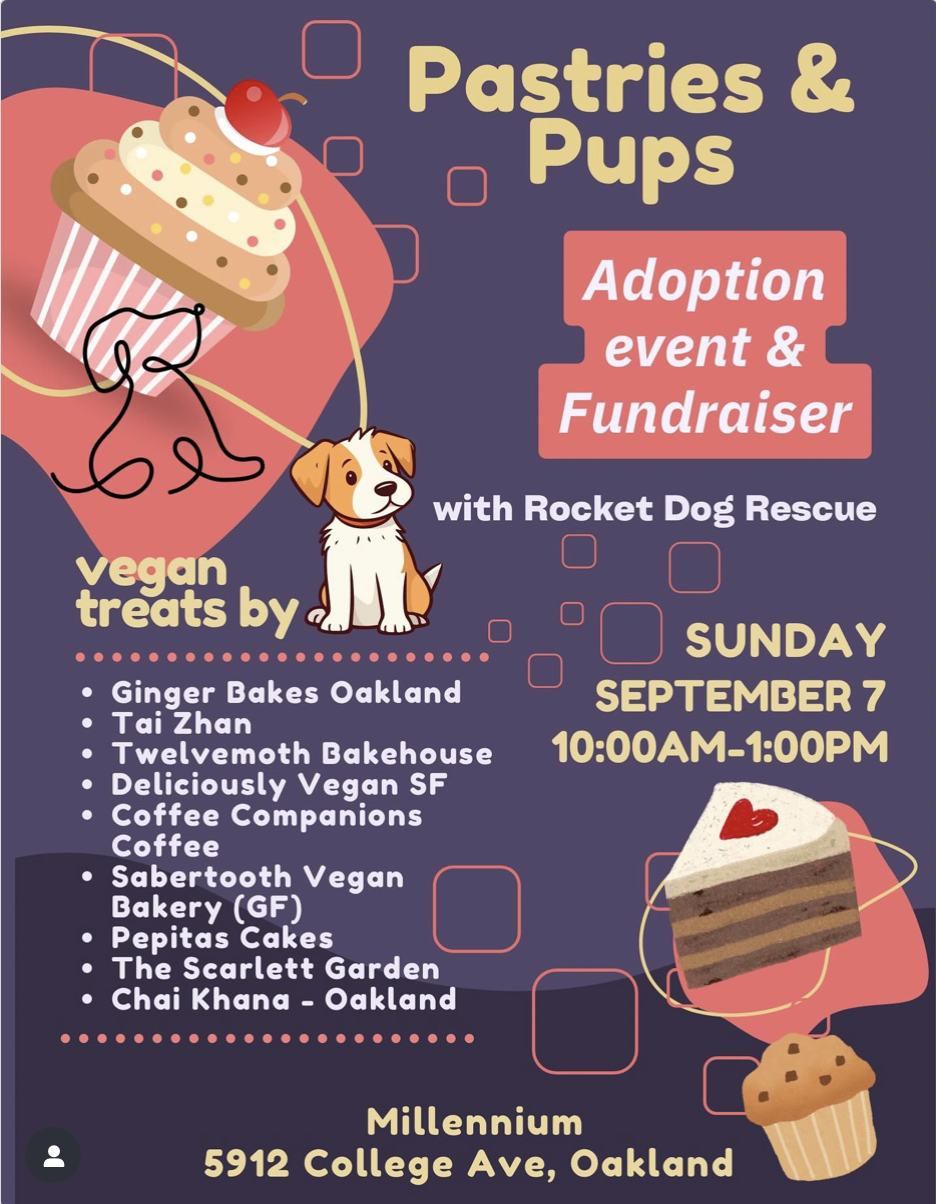 Pastries & Pups