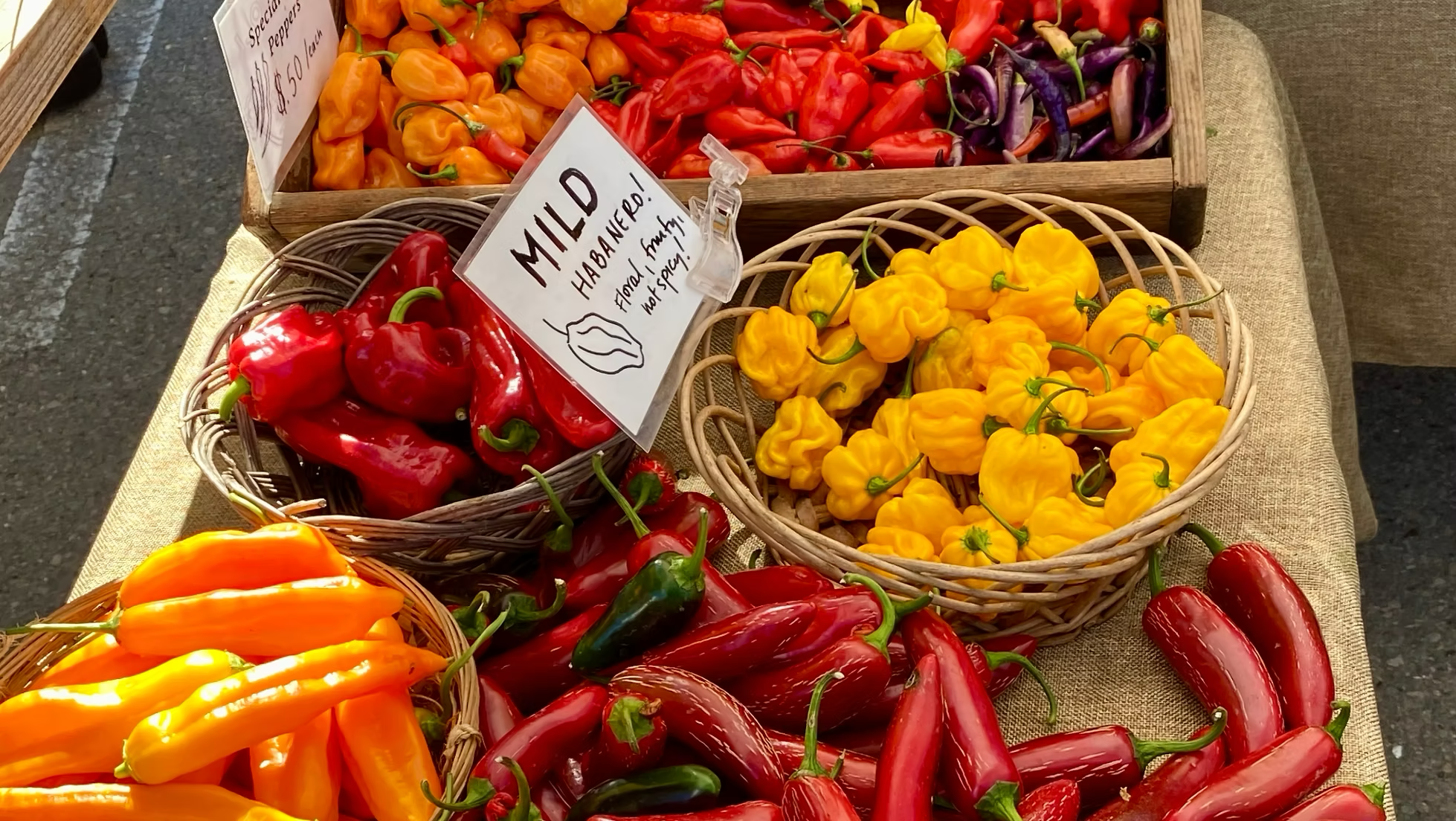 Fermented Hot Sauce
