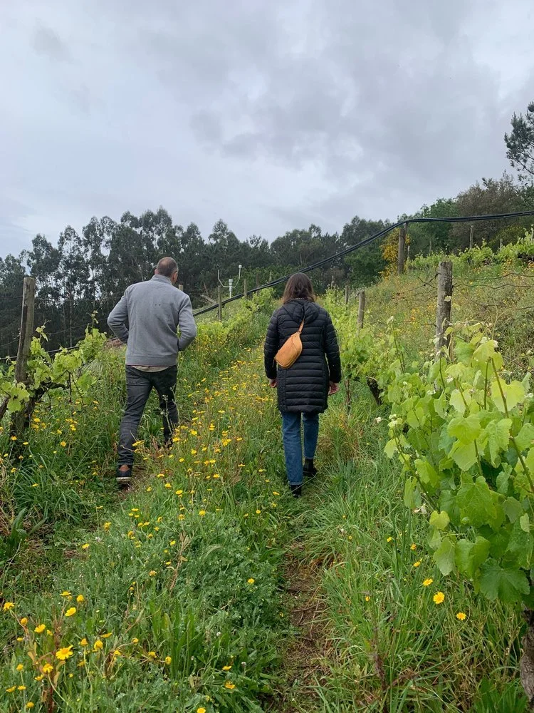 Culinary and winemaking of Northern Spain