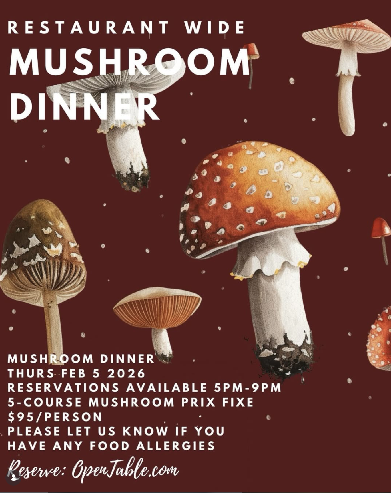 Mushroom Dinner