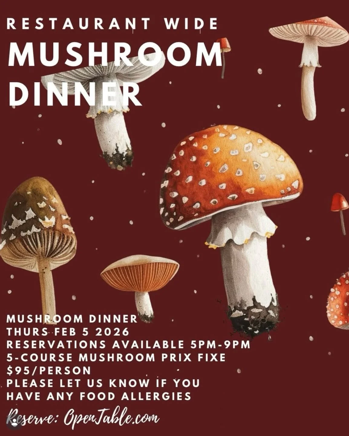 @millenniumrestaurant is hosting a restaurant-wide Mushroom Dinner on Thursday, Feb. 5. Get your seat at the table while seats are available! Make a reservation:  millenniumrestaurant.com 🍄