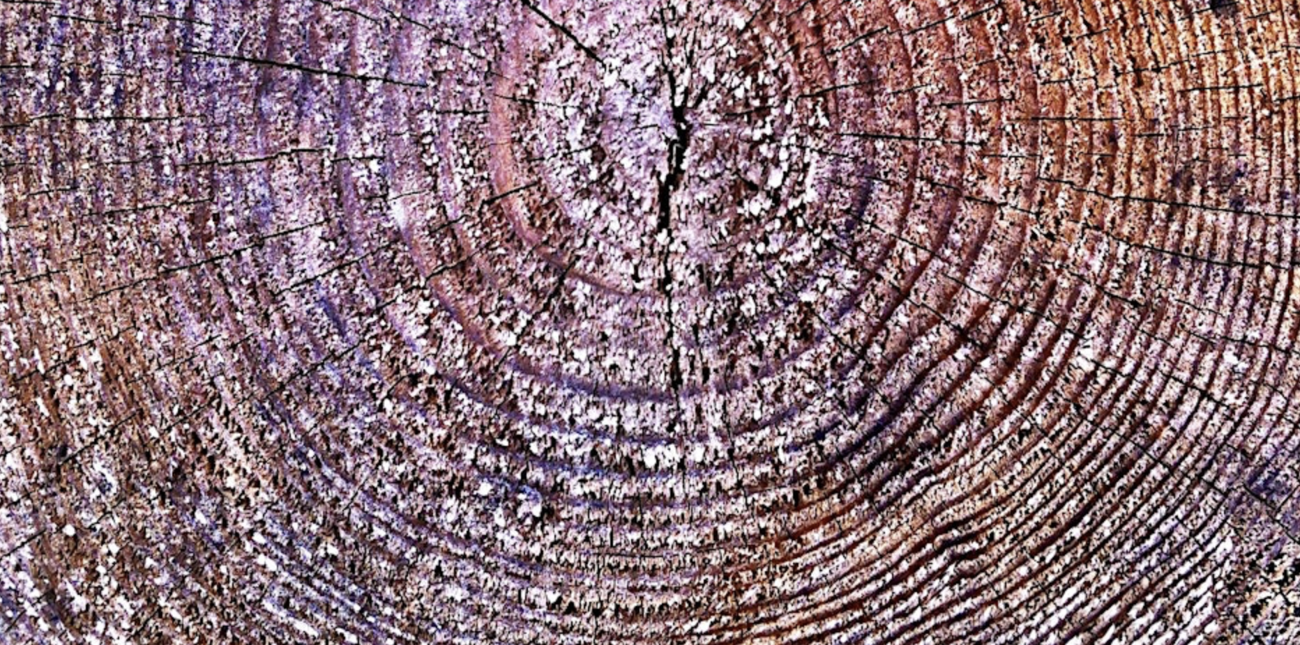 Heart on Paper: Journaling as a Path to Inner Wisdom