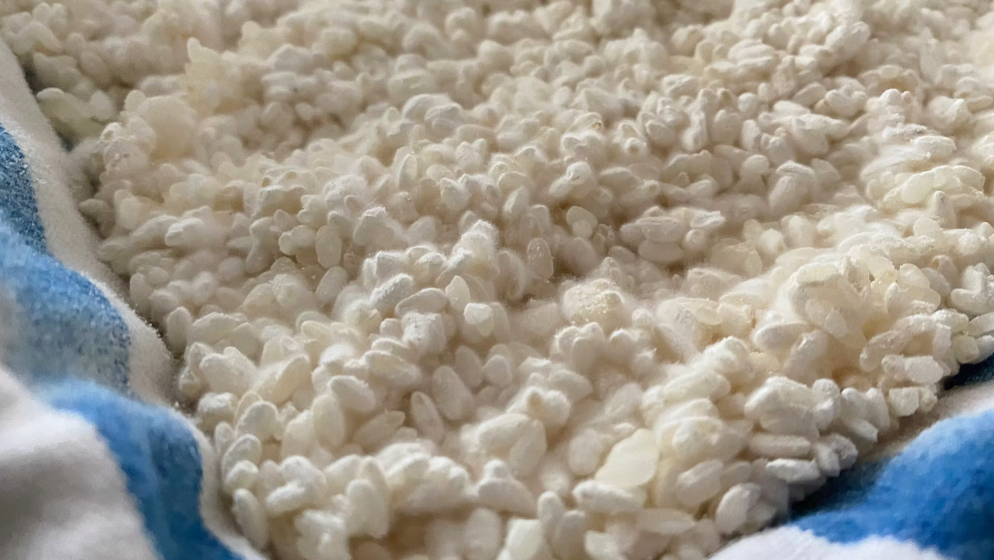 Koji Fermentation