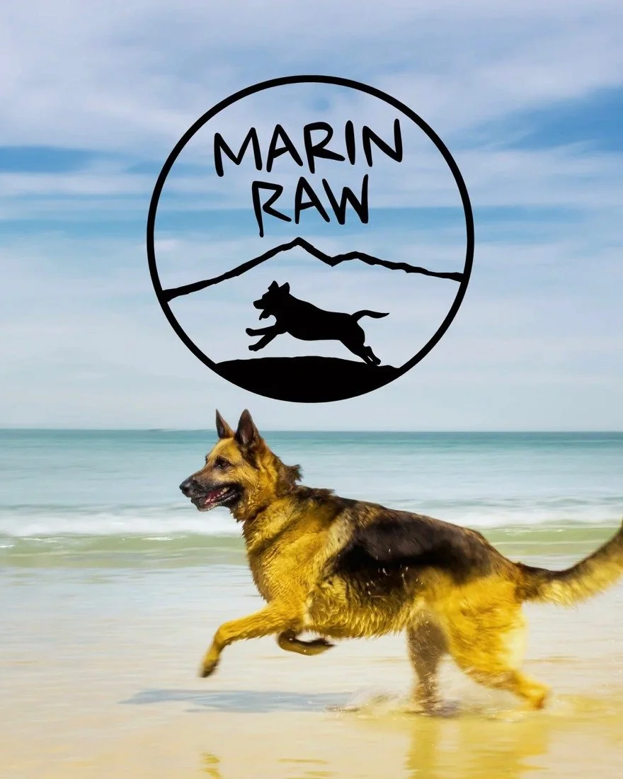 At Marin Raw, what you will get is honesty, deep expertise, and genuine care. Nutrition isn&rsquo;t just part of their business&mdash;it&rsquo;s a lifelong focus. Raw food, treats, supplements... give your dog the very best in nutrition! 

Marin Raw
