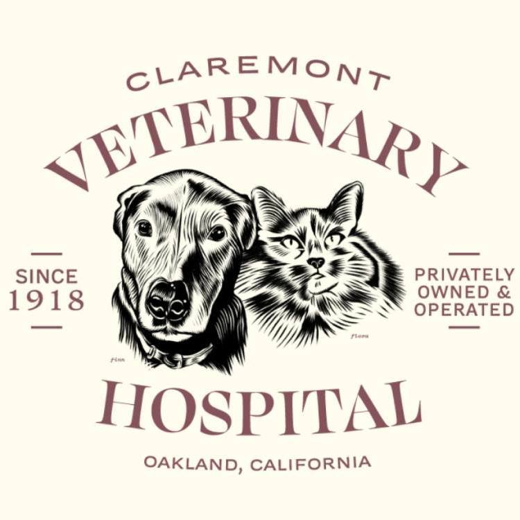 The friendly, experienced staff at Claremont Veterinary Hospital is always ready to help. If you have questions, need an appointment for a wellness check or something more urgent, don&rsquo;t hesitate to contact them at (510) 652-5835.

claremontvet.
