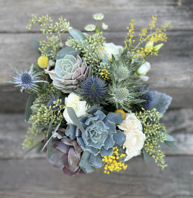   https://www.instagram.com/westwindsucculents?igsh=NTc4MTIwNjQ2YQ%3D%3D&amp;utm_source=qr  