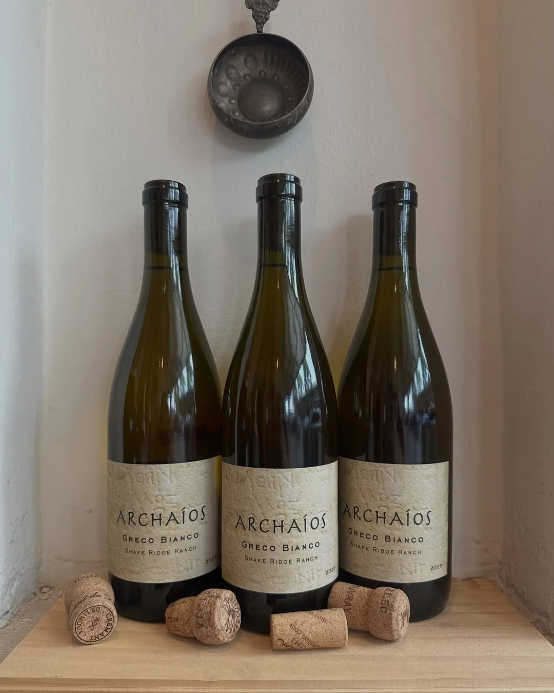 Don't miss this! @vino.inc has the Archaios &lsquo;24 Greco Bianco with aromas of white peach, honey blossom, crushed stone, and a hint of fresh herb. Mouthwatering finish on the palate... perfect for the holiday weekend! 🌿 Only 70 cases have been p