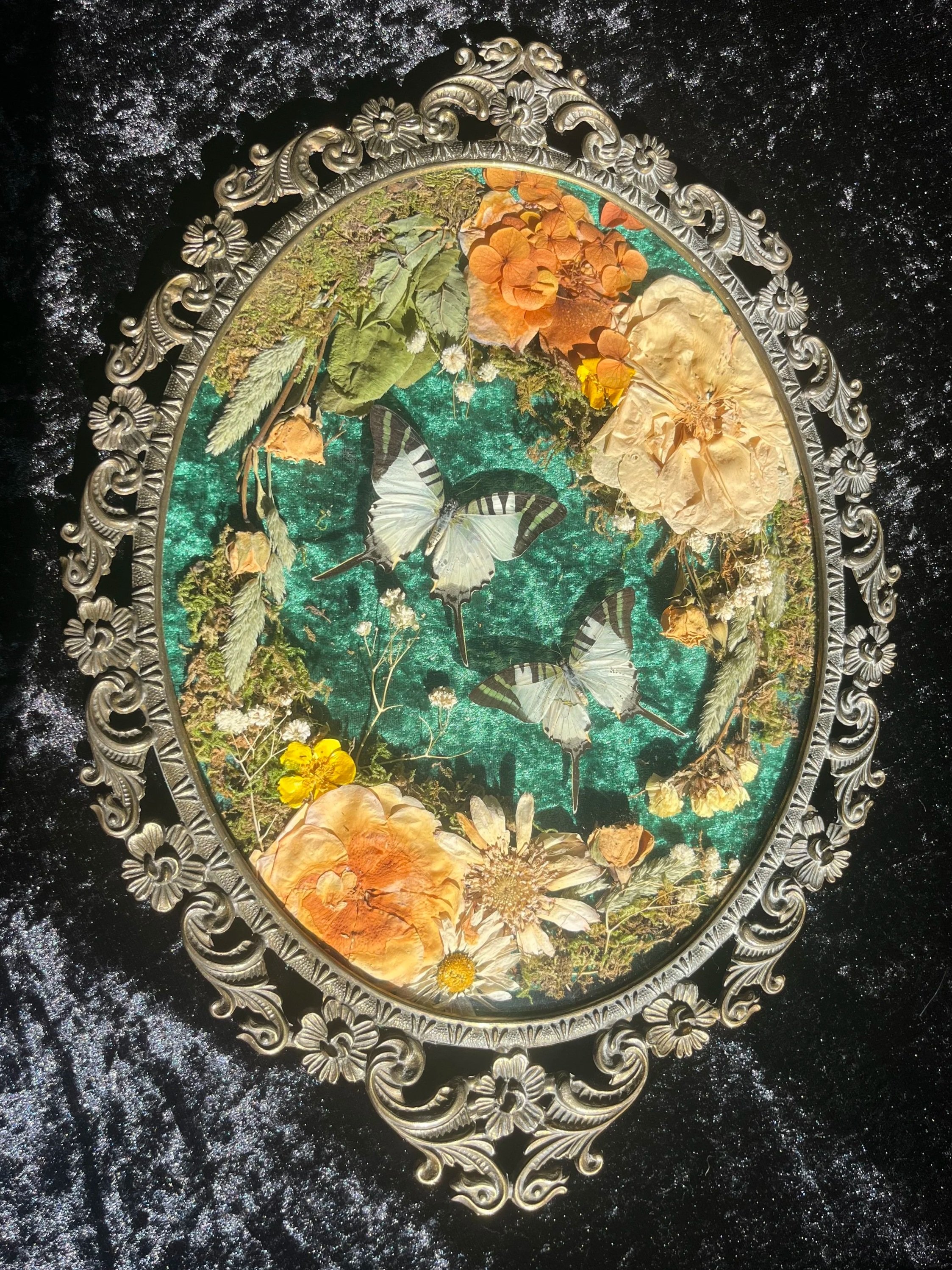 Swallowtail Duo Antique Frame