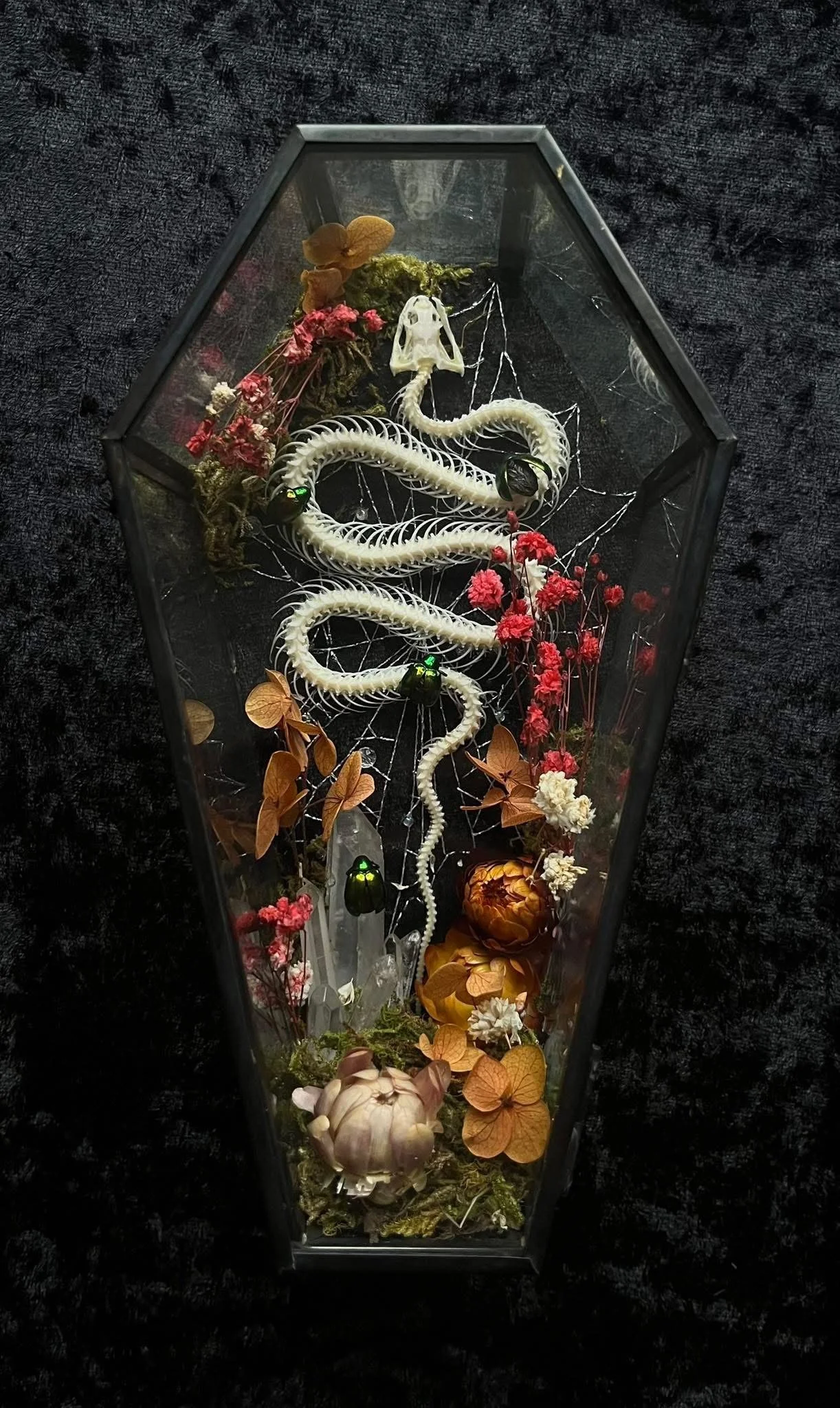 Snake skeleton Coffin