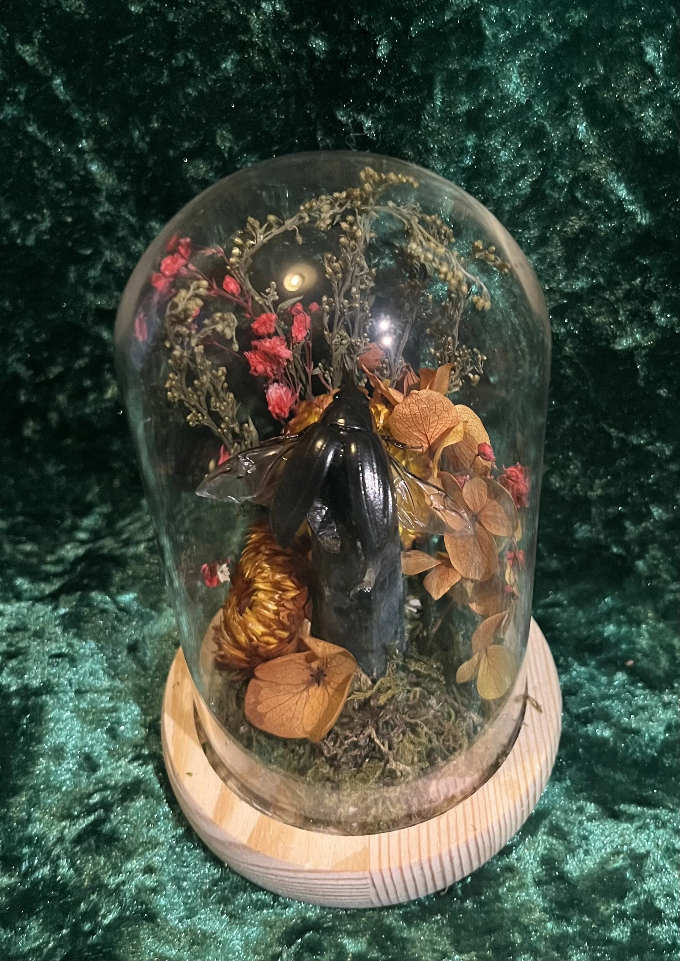 Cockroach Dome