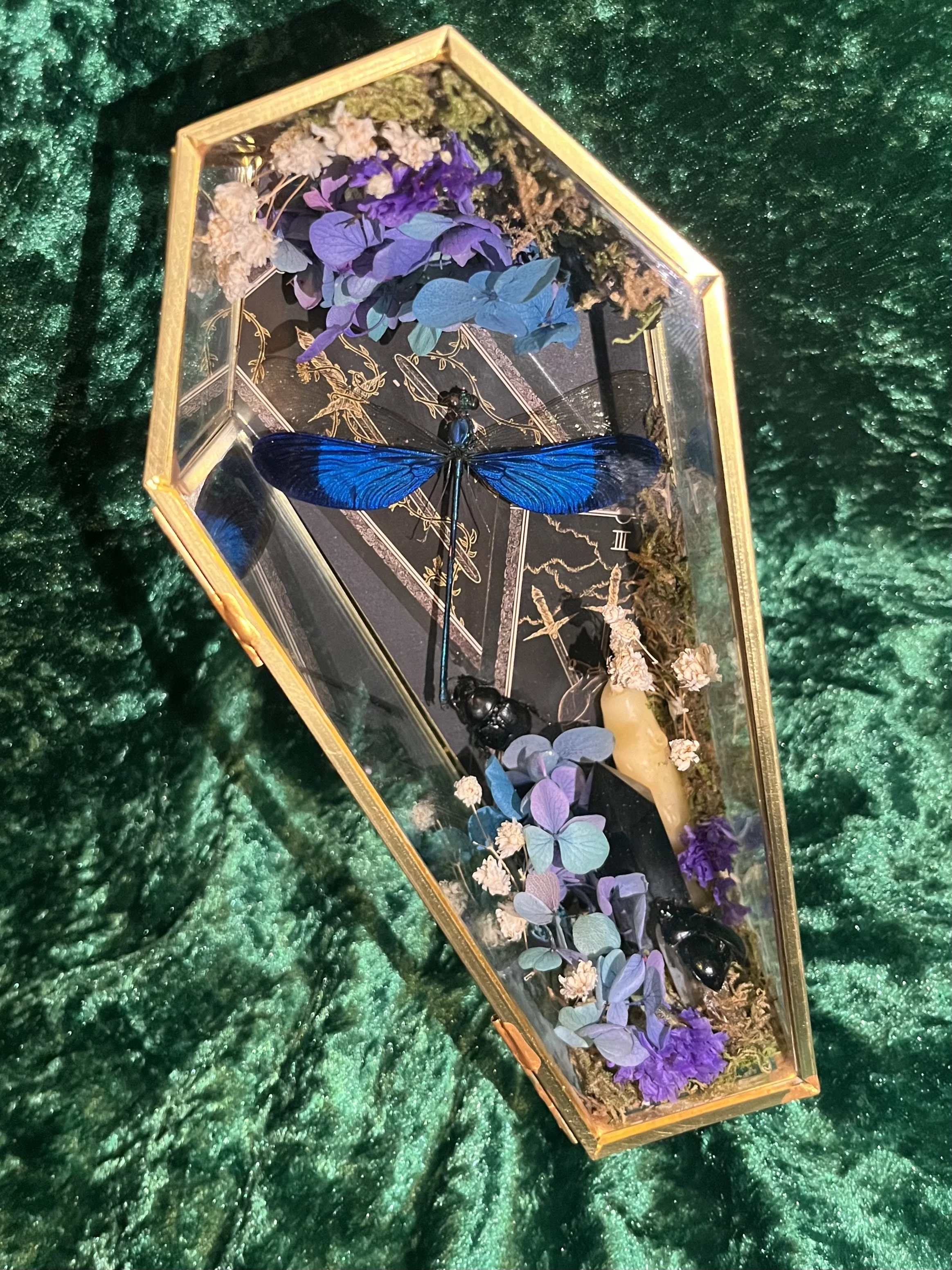Damselfly Coffin