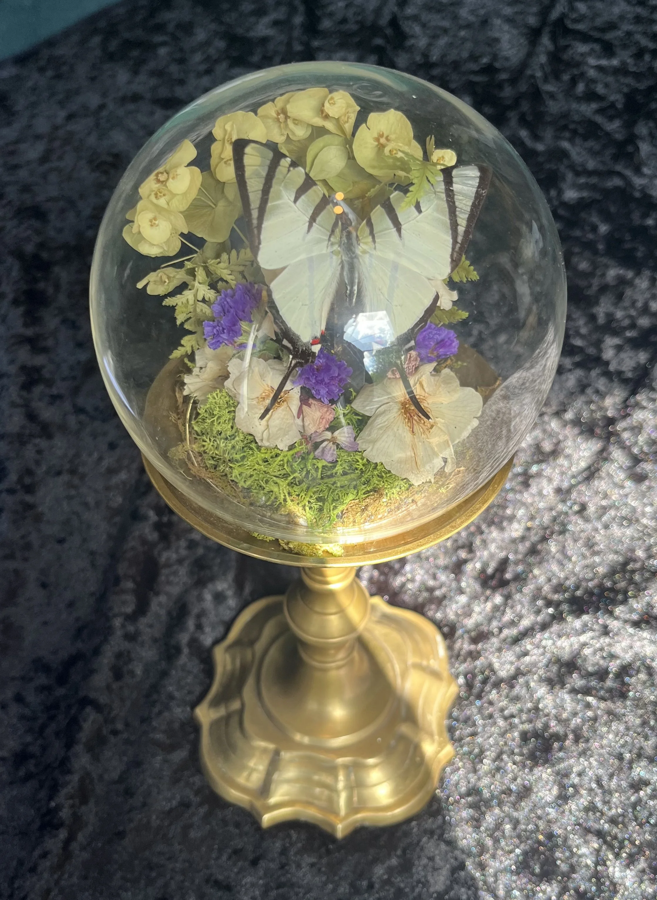 Swallowtail butterfly candlestick