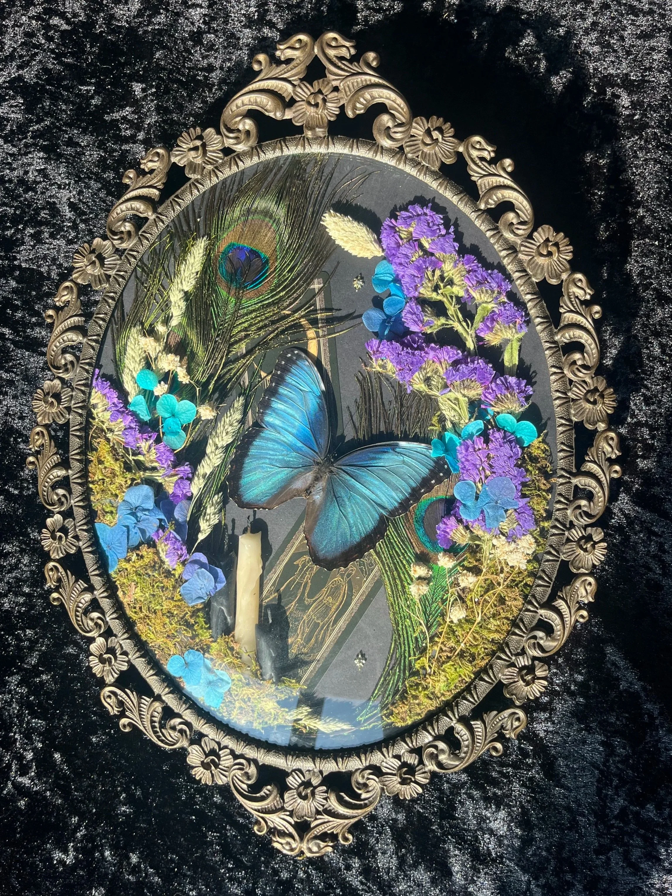 Blue Morpho Antique Frame