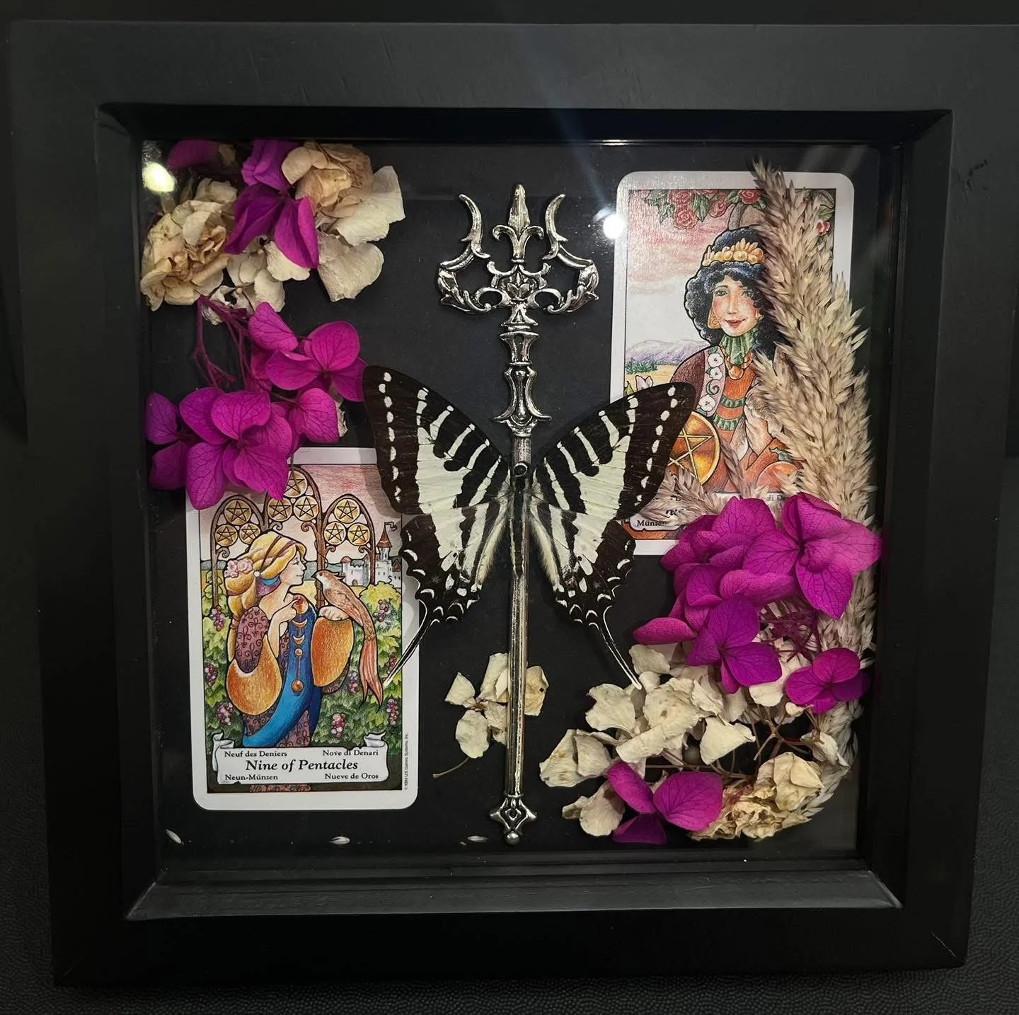 Tarot & Trident Swordtail butterfly