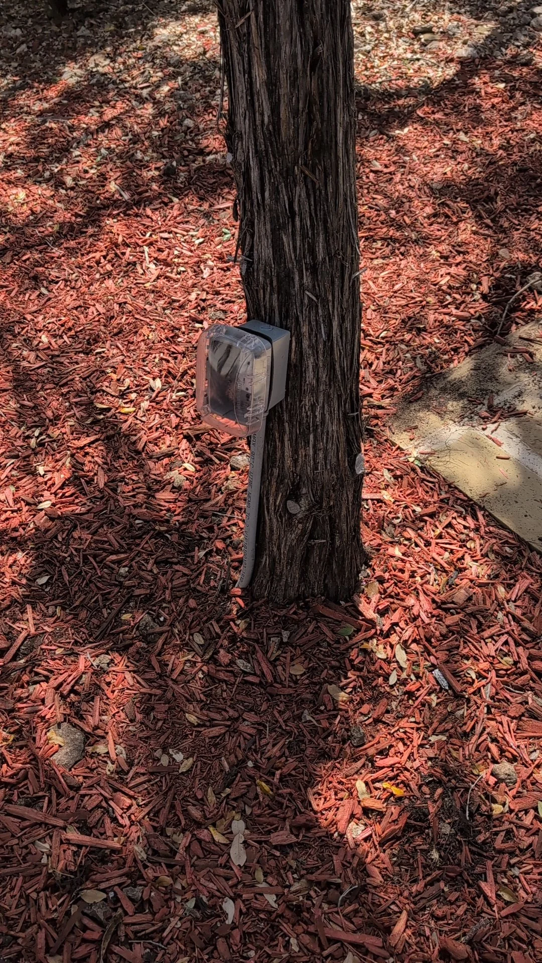Electrical outlet box next to a tree for a residential client installed by BP Electrical Services