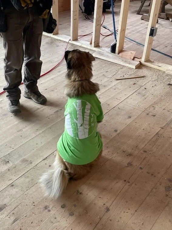 Golden retriever dog wearing a bright green shirt with white trees printed on the back, sitting inside a construction site with exposed wooden framing and sawdust on the floor, facing a person standing nearby.