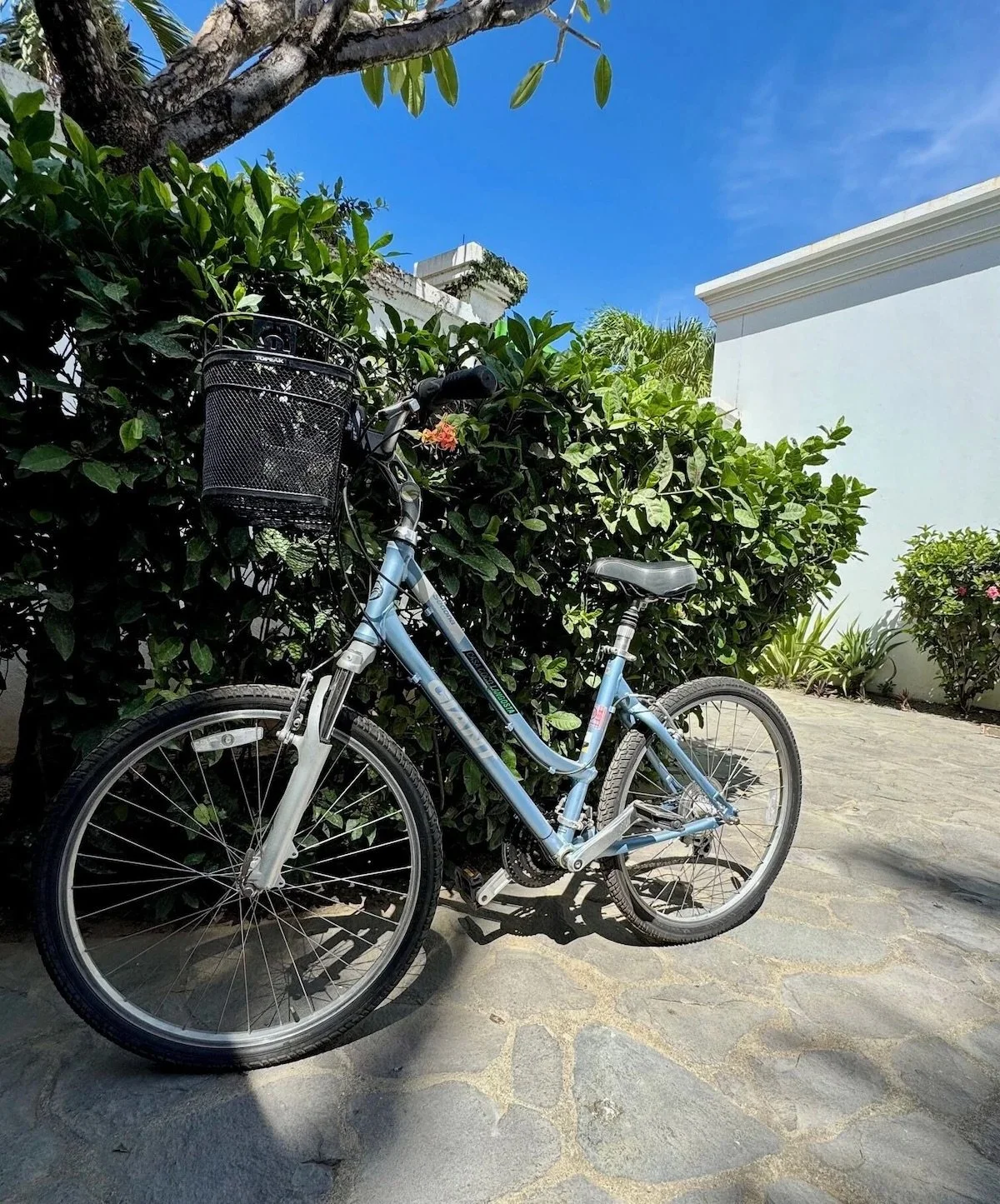 4 beach style bicycles are free for guests to use