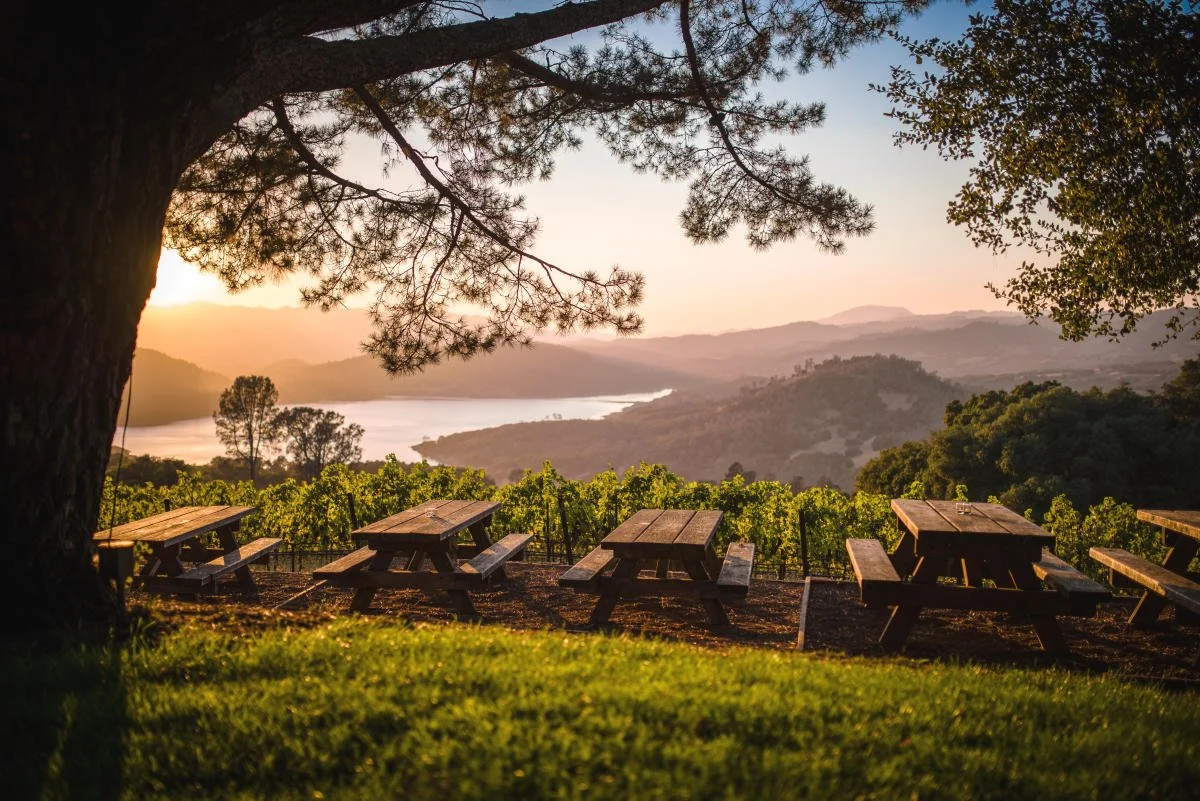 napa 1.jpg
