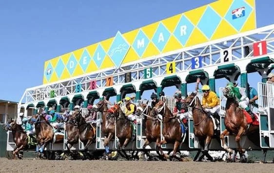 del mar pic.jpg