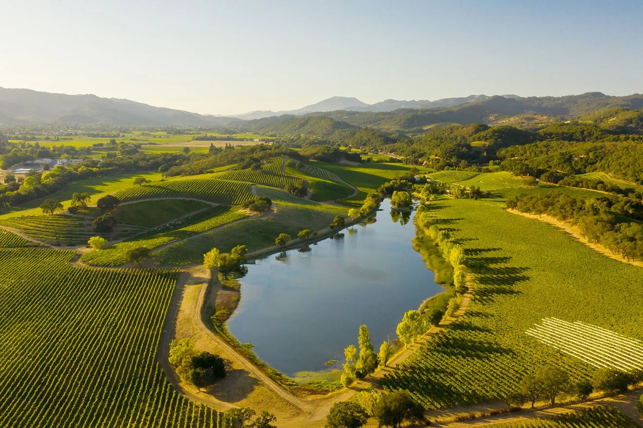 napa 4.jpg