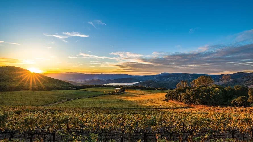 napa 3.jpg