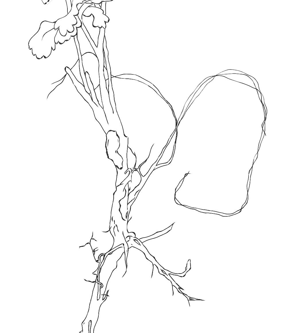 plant_drawing.jpeg