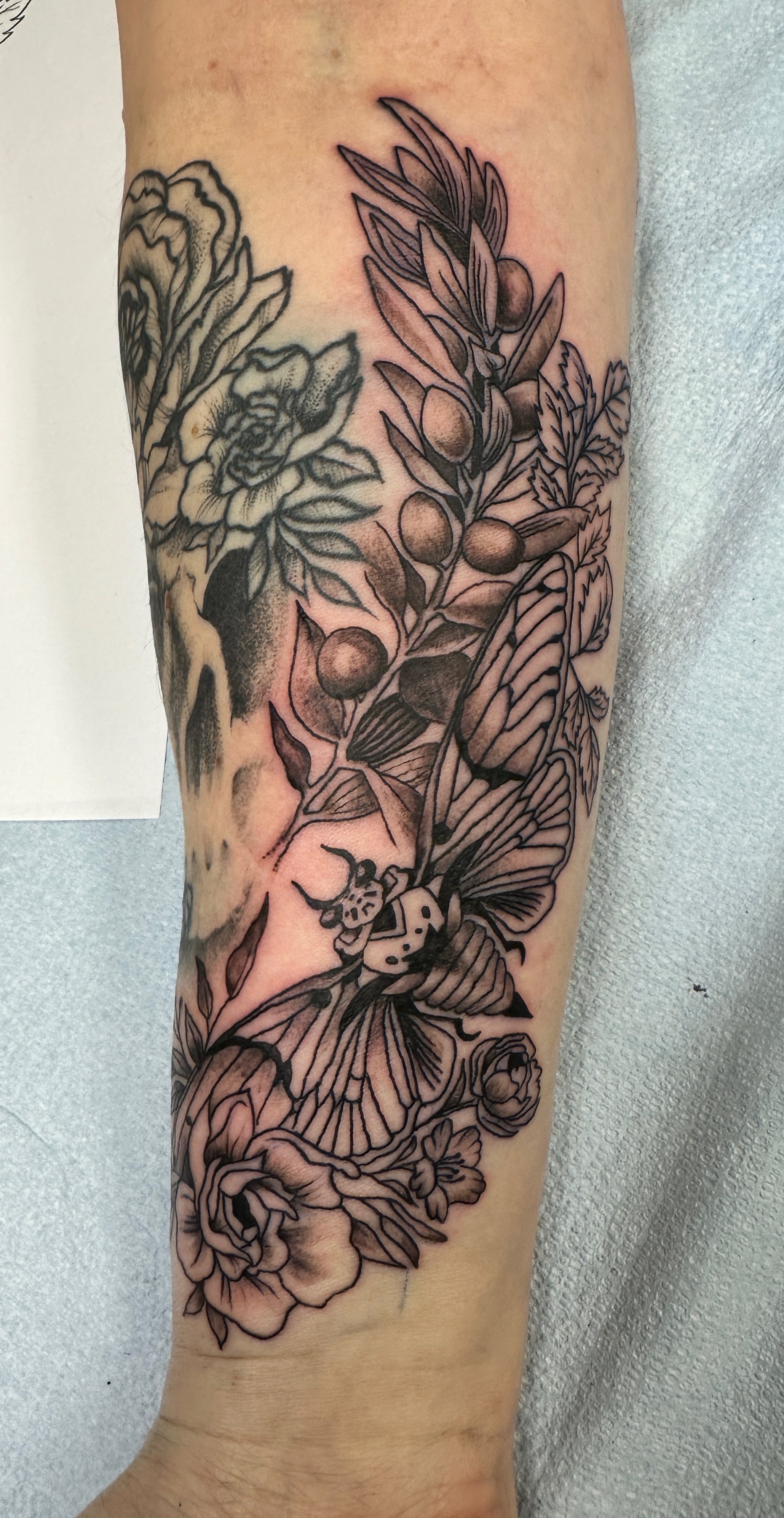 Black and gray tattoo of flowers, leaves, a butterfly, and a moth on a person's forearm. Tattoo designed by Robin Reece