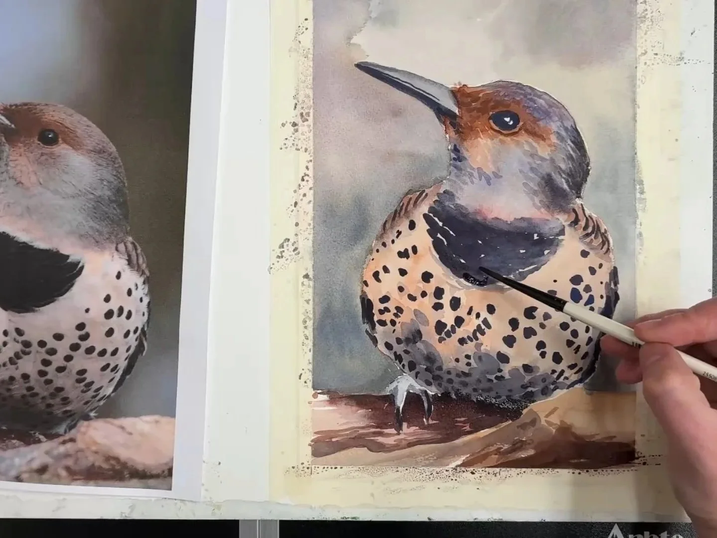A person painting a watercolor of a bird resembling a hawk or falcon, with watercolor paints and a paintbrush.