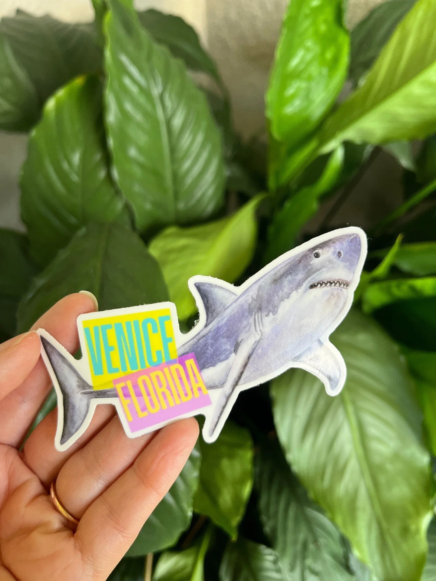 🎉 Our new sticker collection has arrived, and we think you&rsquo;re going to love them as much as we do! Grab any 4 stickers and get the 5th FREE. Stop by today to personalize your bumper, water bottle, or anything that needs a little extra flair! 
