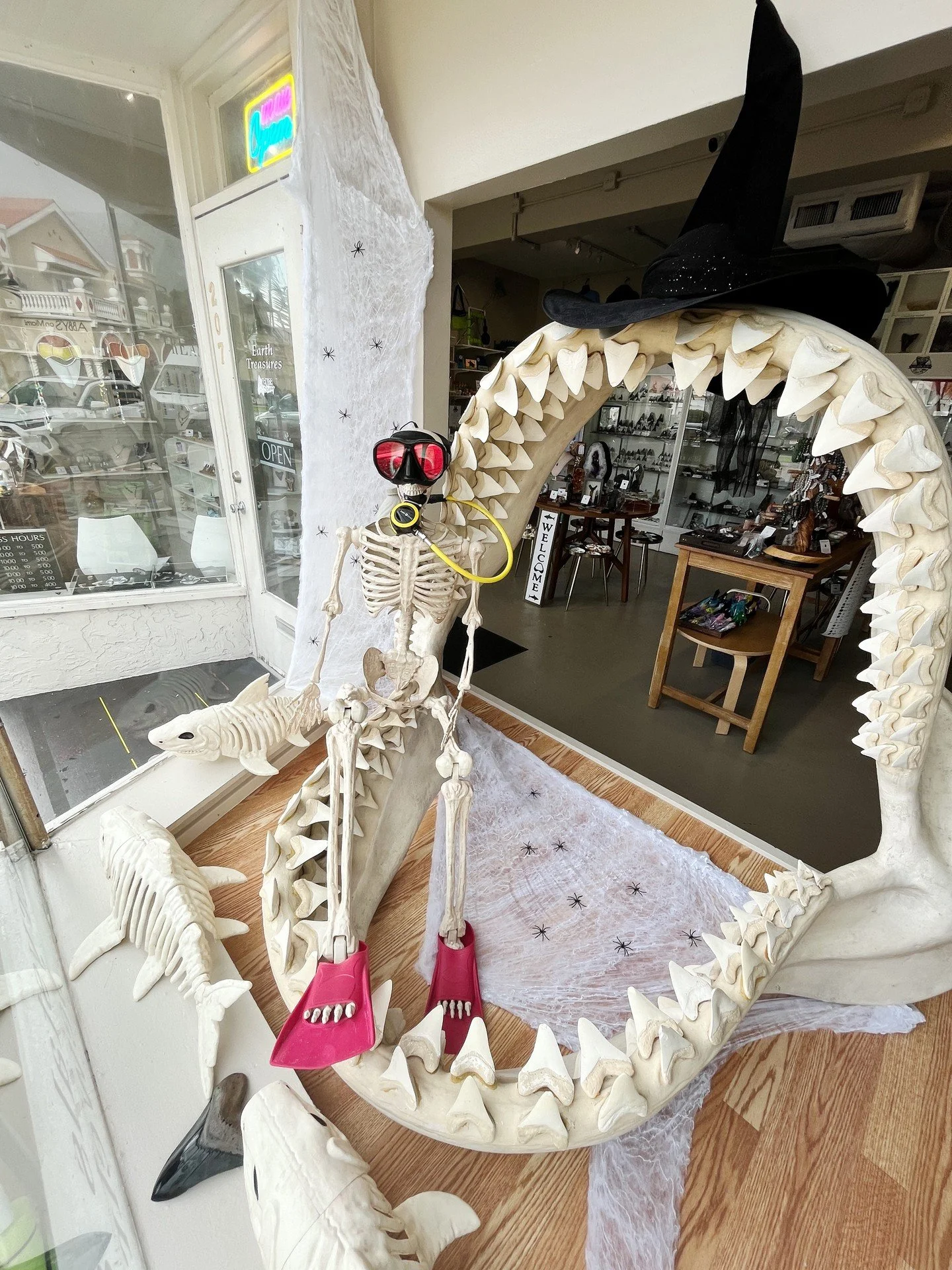 🎃👻 Celebrate Halloween at Earth Treasures! 👻🎃

We&rsquo;ve got fossil treats waiting for you that you won&rsquo;t want to miss! Venice Main Street is hosting the Annual Children&rsquo;s Halloween Strut, so there will be plenty of little ghouls an