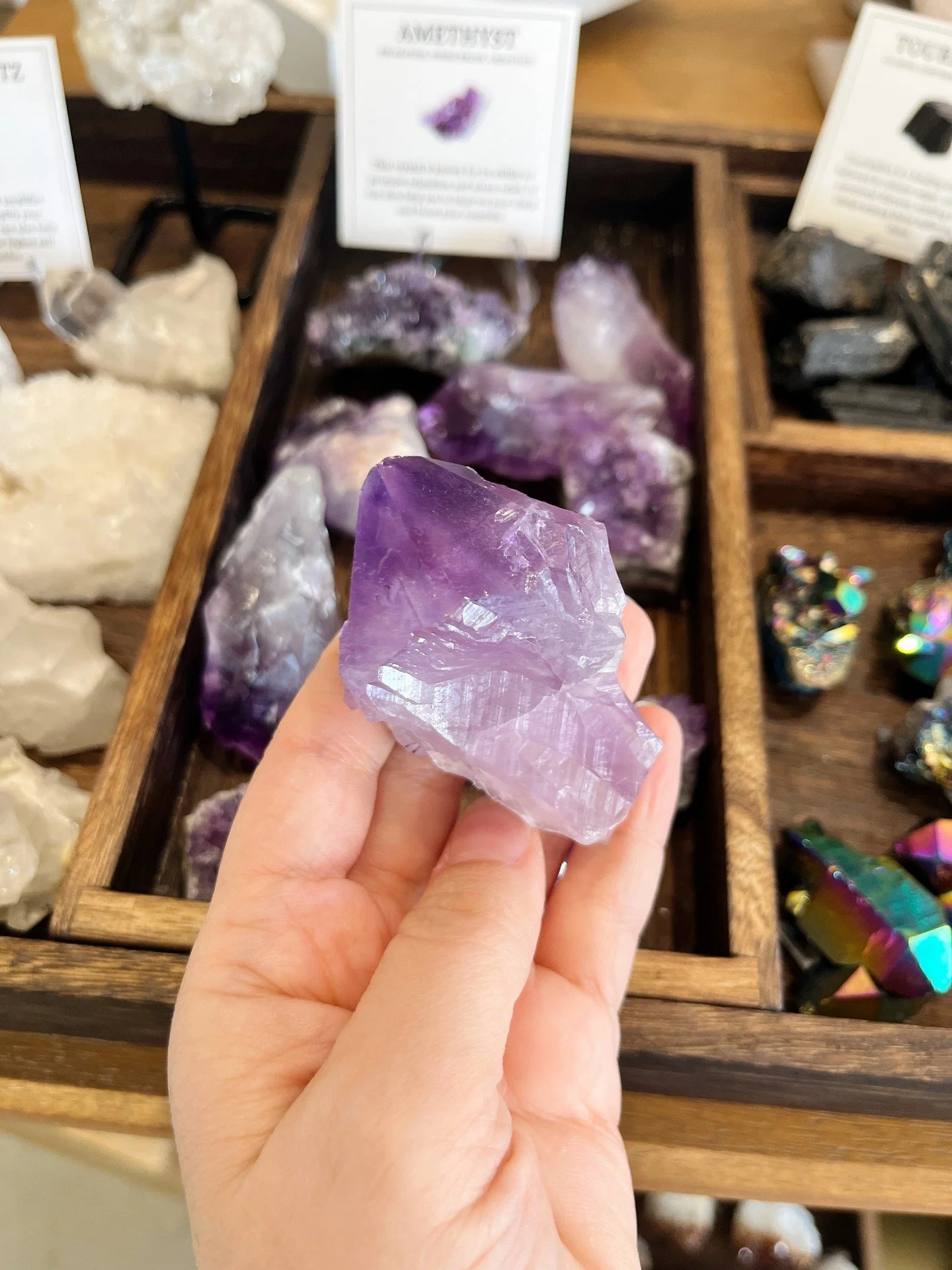 Connect with amethyst's calming vibes and welcome positive energy for the New Year! These raw amethyst pieces are truly stunning ✨💜