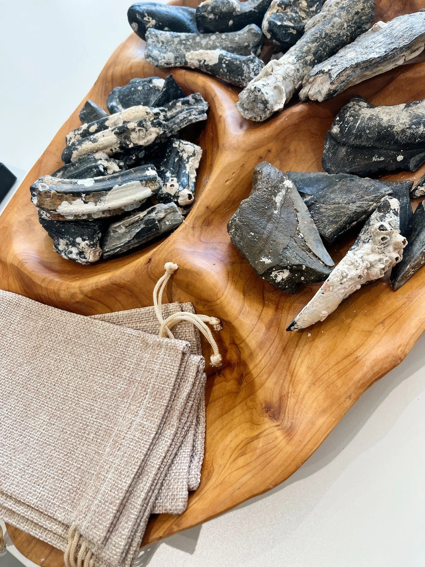 Time to pack your fossil bag with your must-have favorites!✨ Which pieces are making it into your bag? Share below!