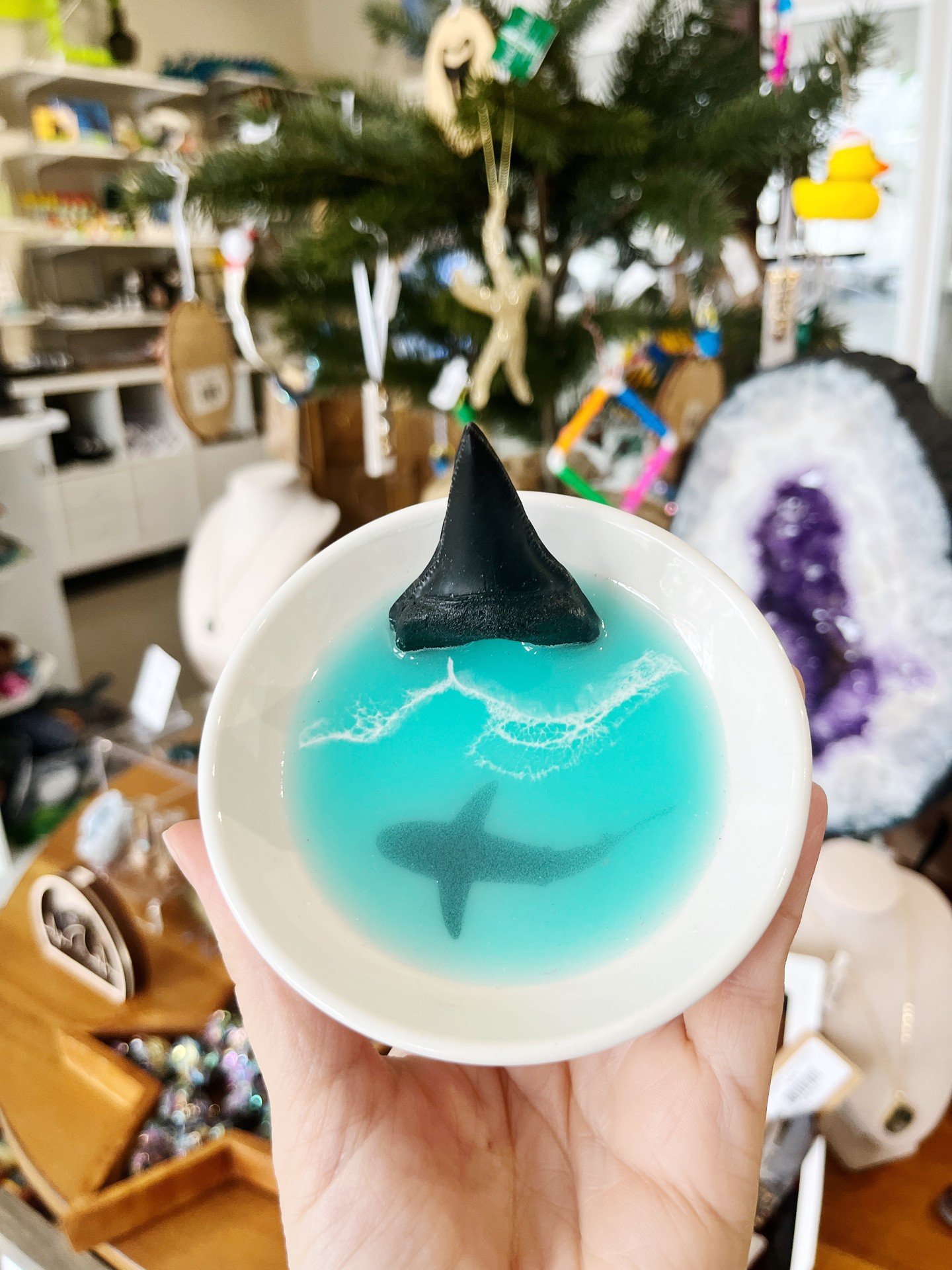 Lot's of new styles available of these unique ring dishes. Hey, you can even put shark teeth in them!  Get yours before they swim away!