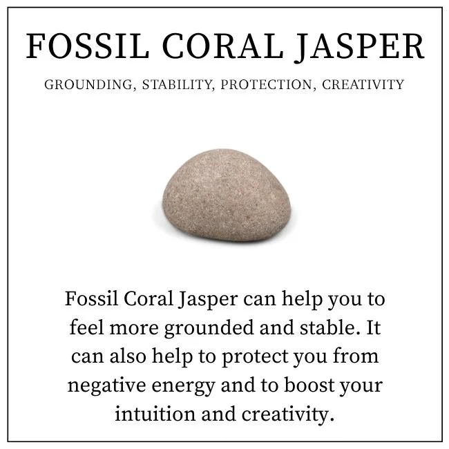 Fossil Coral Jasper