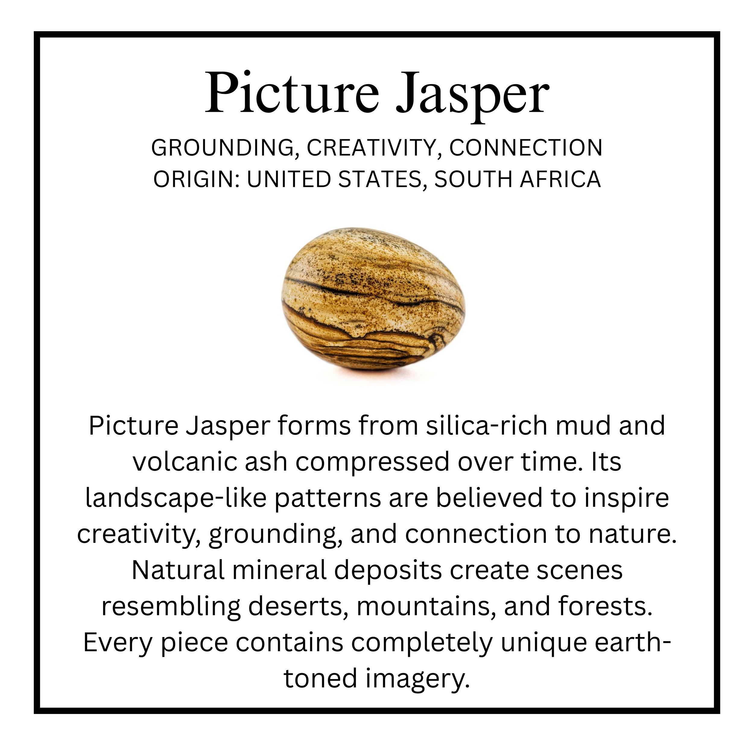 Picture Jasper.jpg